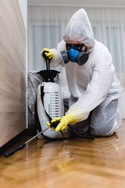 Emergency Pest Control in West New York, NJ